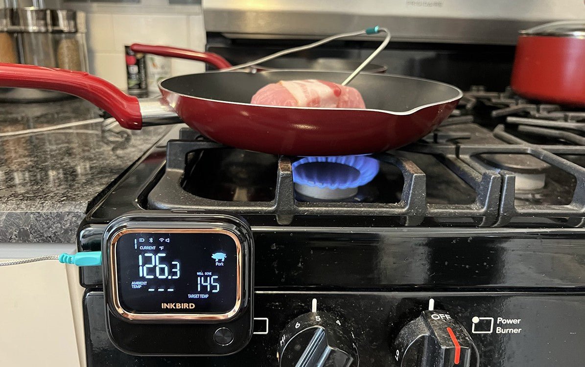 Do You Really Need a Meat Thermometer? - INKBIRD