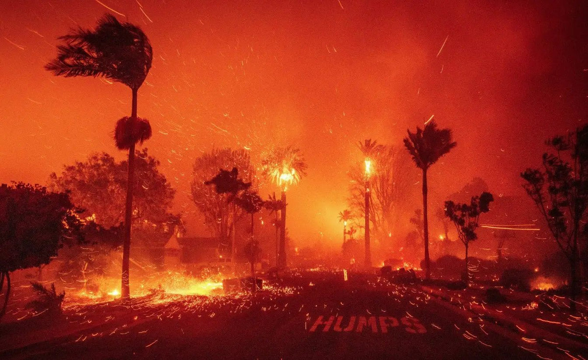 How to Protect Indoor Air Quality During and After a Wildfire? - INKBIRD