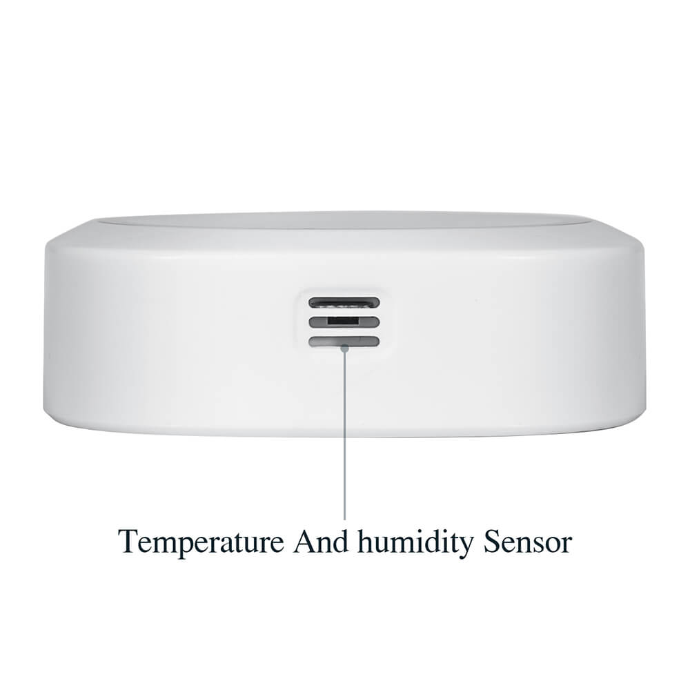 Bluetooth Hygrometer Thermometer IBS - TH1 - Plus - INKBIRD