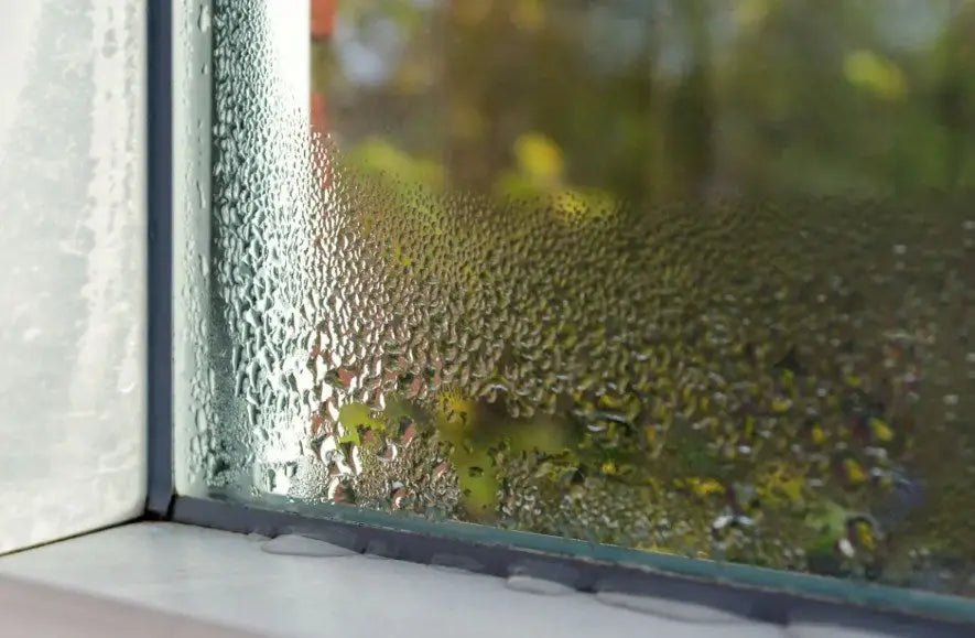How to Reduce Humidity in House? 10 Tips to Lower Indoor Humidity - INKBIRD