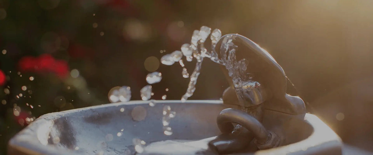 Water quality tester - INKBIRD