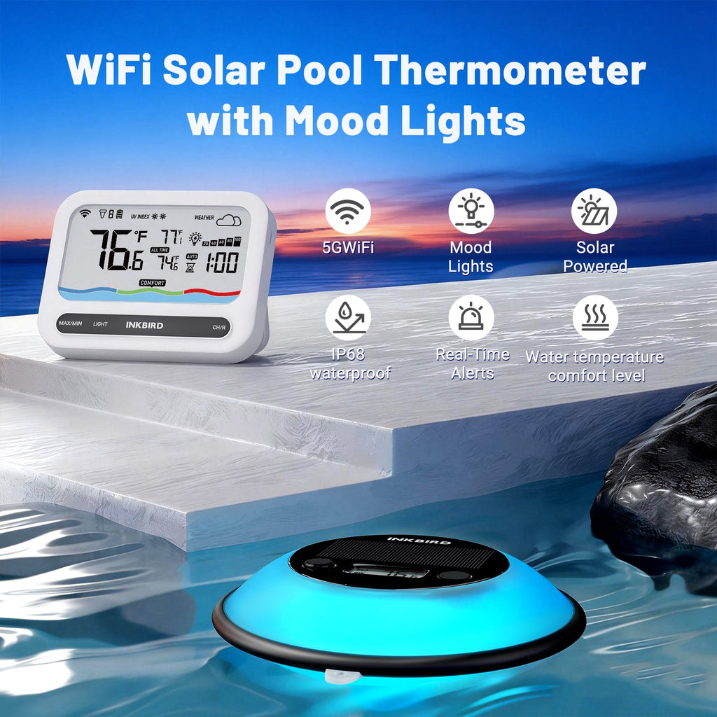 Solar Pool Thermometer IBS-P05R with Ambient Light