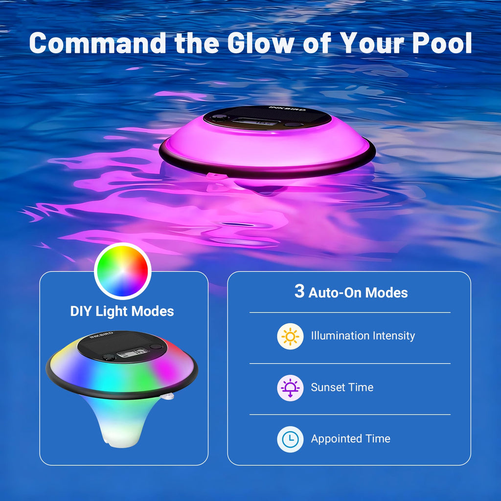 Solar Pool Thermometer IBS-P05R with Ambient Light