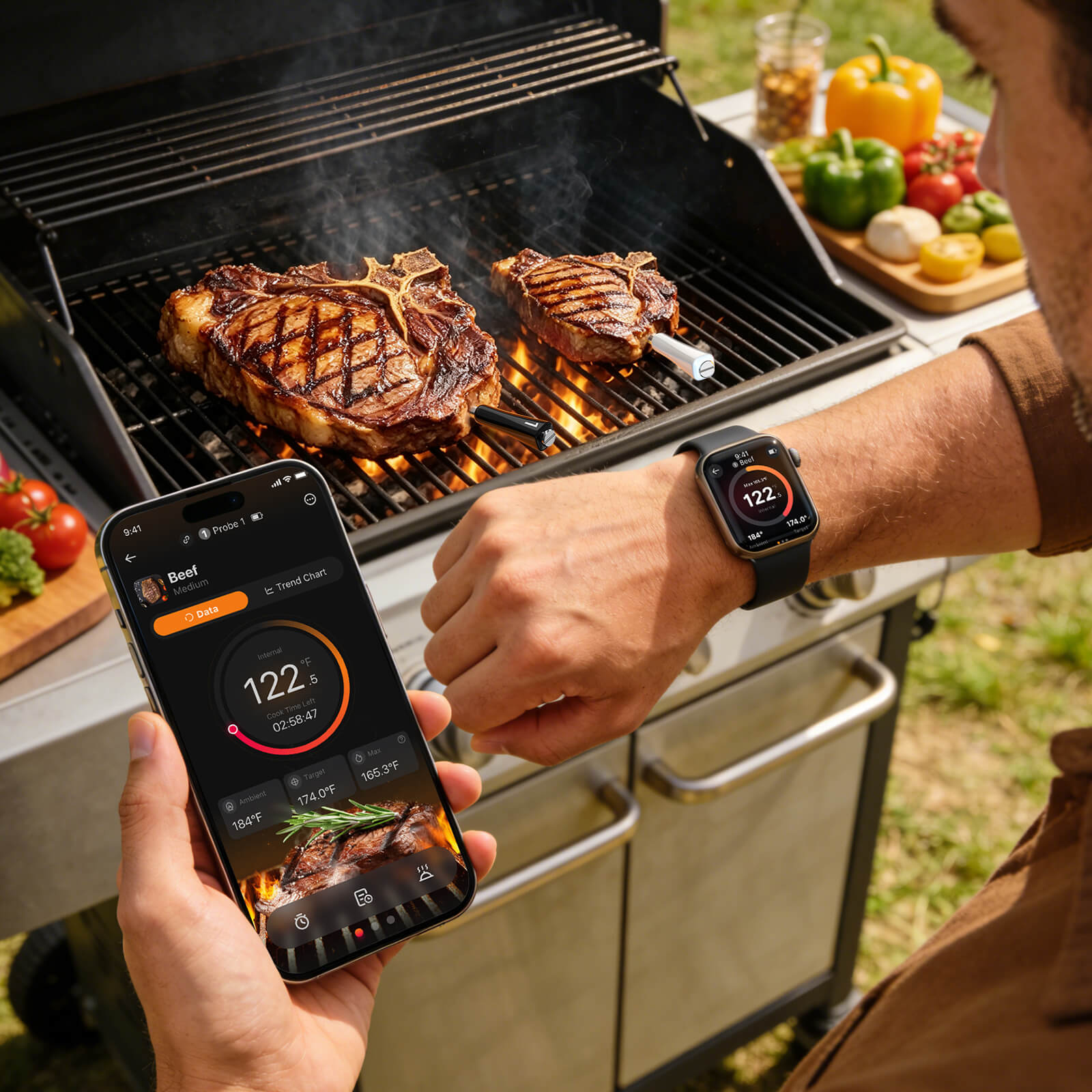 Meat Thermometer INT-33-BW