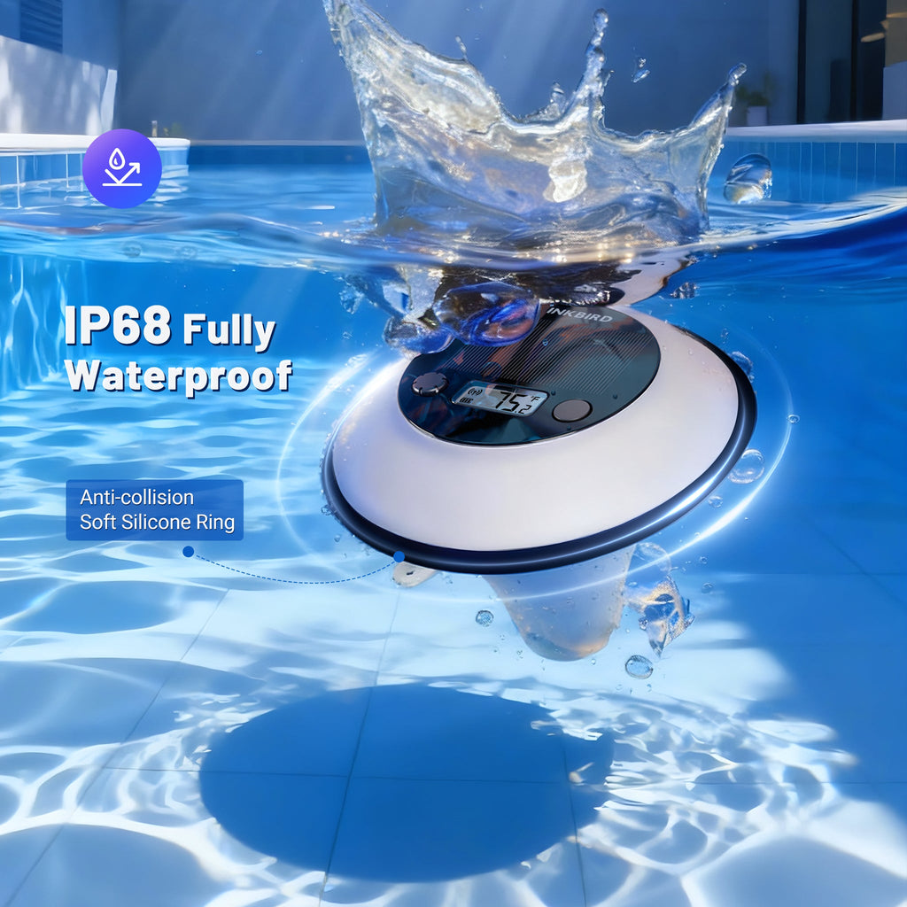 Solar Pool Thermometer IBS-P05R with Ambient Light