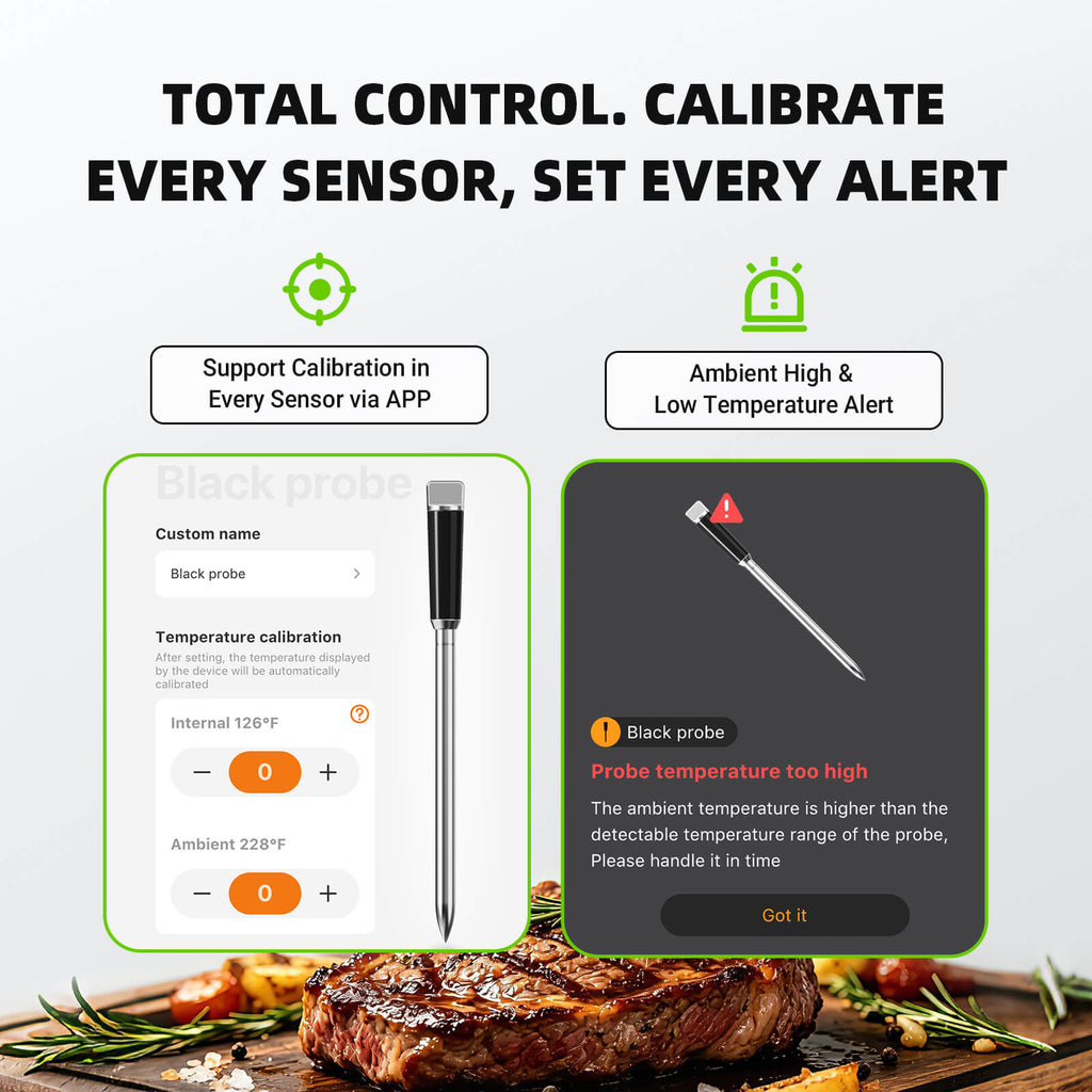 Wireless & Wired Dual-Use Meat Thermometer INDT-33-B
