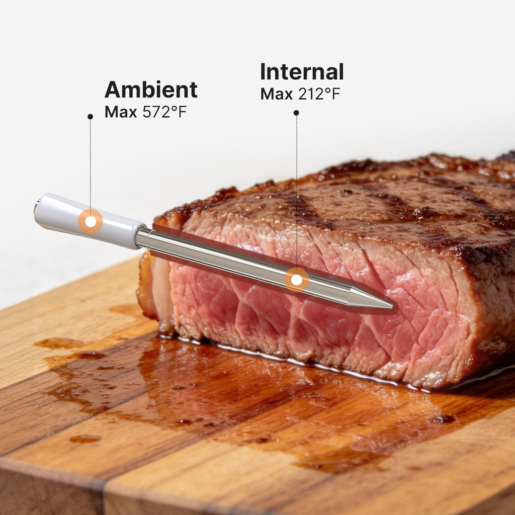 INT-11S-B Wireless Meat Probe for Internal and Ambient Temps