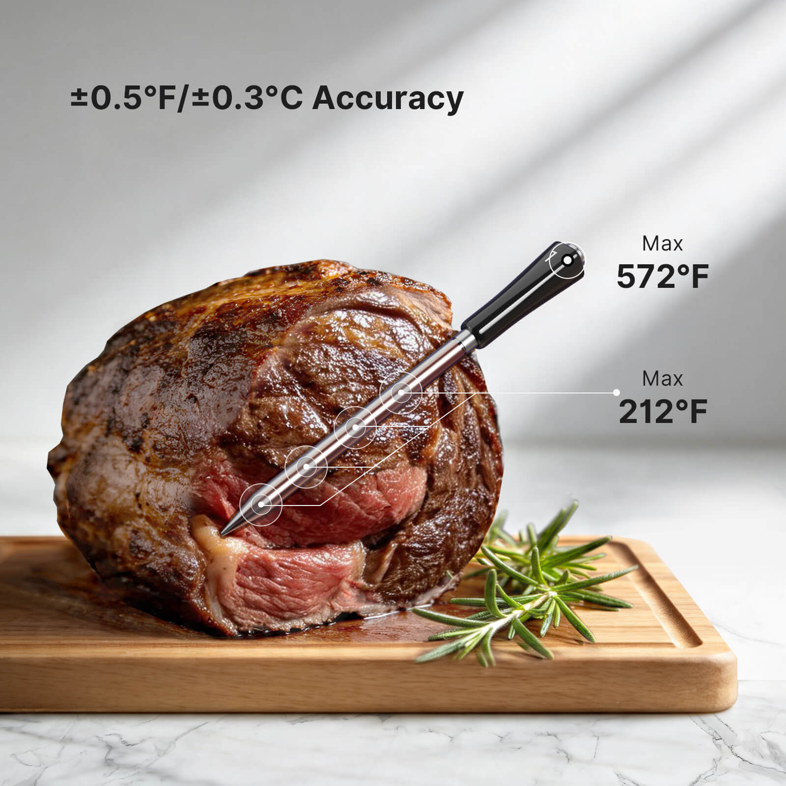 INT-14S-BW Accurate Probe Measuring Internal and Ambient Temps
