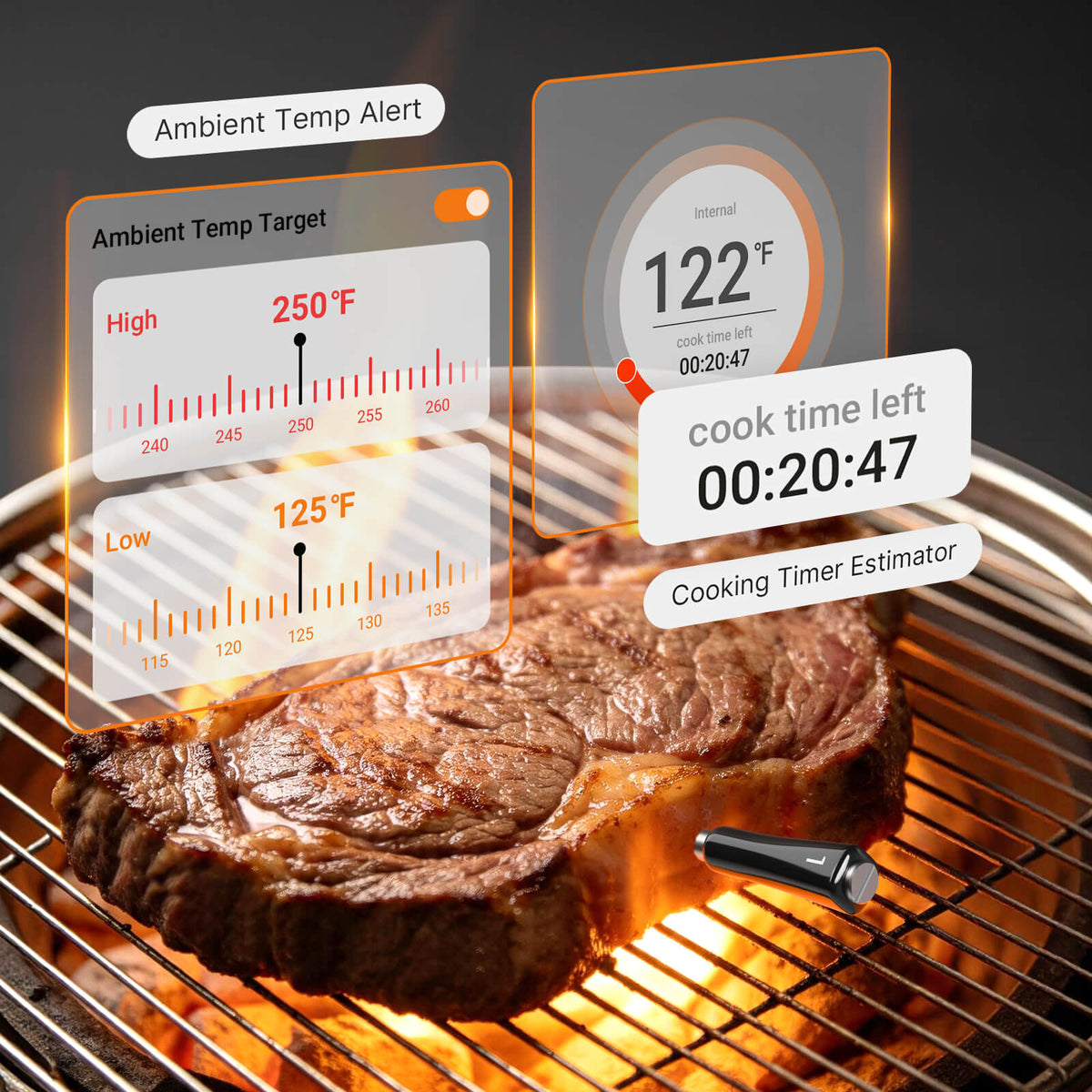 INT-14S-BW Upgraded Ambient Temp Alert and Cooking Timer Estimator