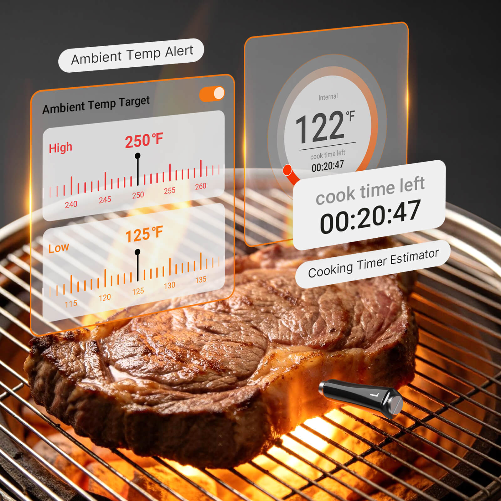 INT-14S-BW Upgraded Ambient Temp Alert and Cooking Timer Estimator