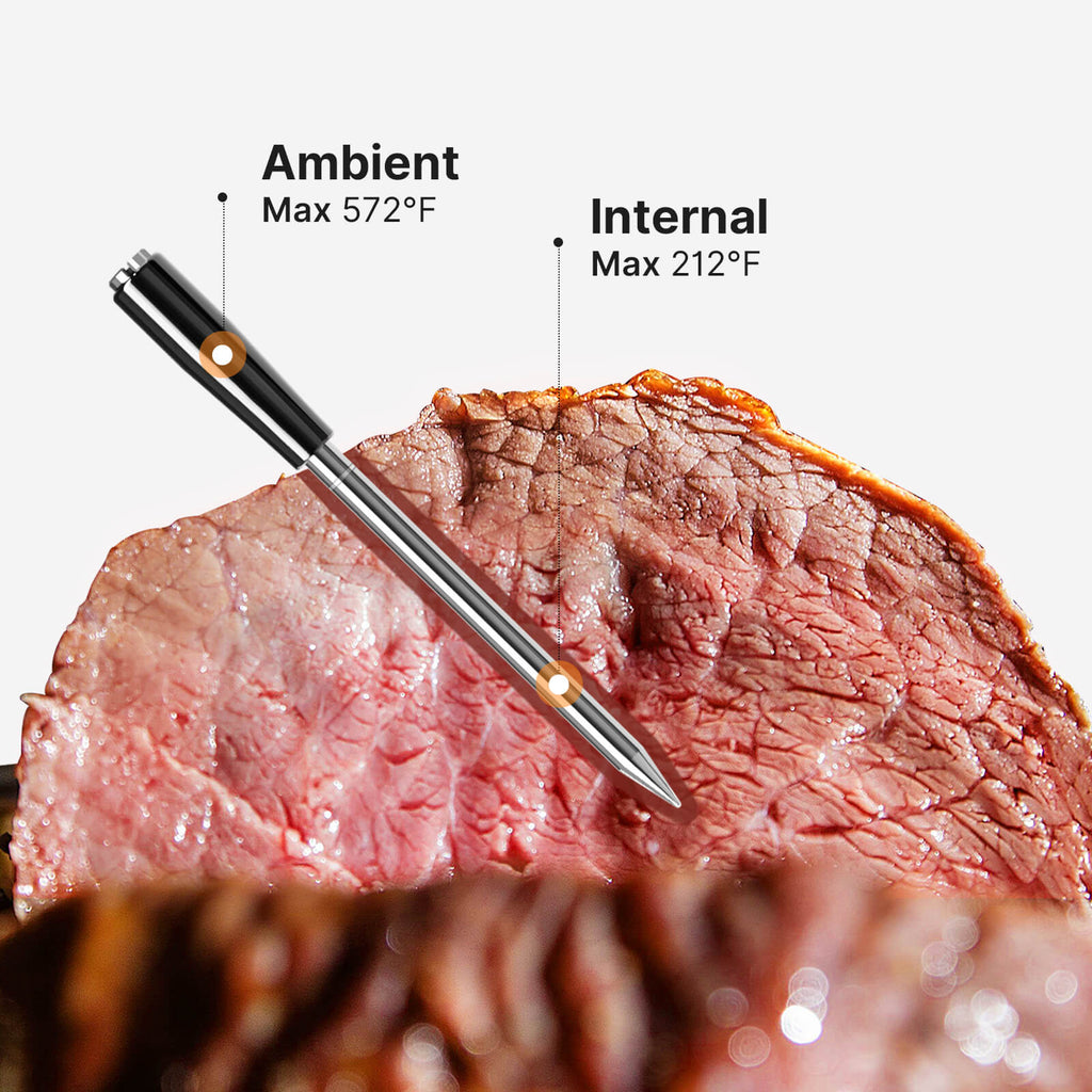 INT-21-B Wireless Meat Probe for Internal and Ambient Temps