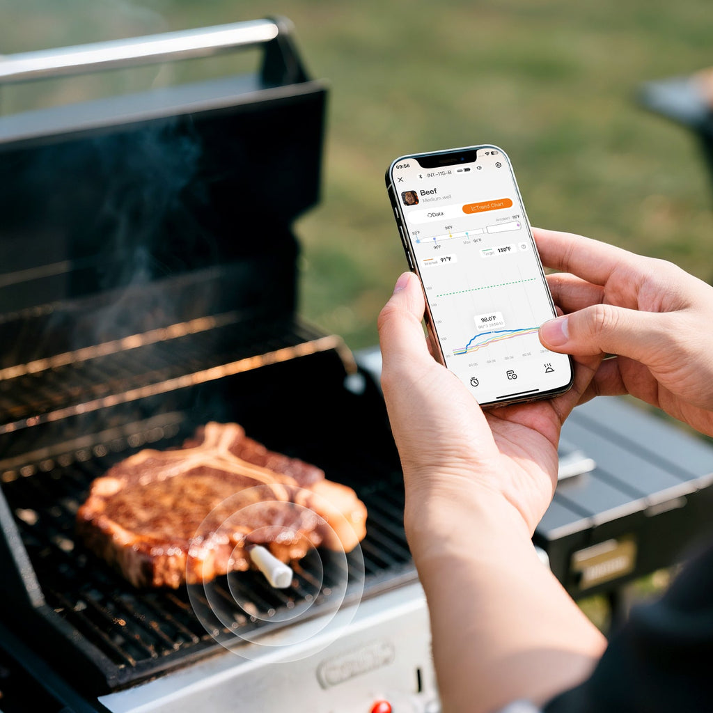 Monitoring Grilling Steak with INT-11S-B