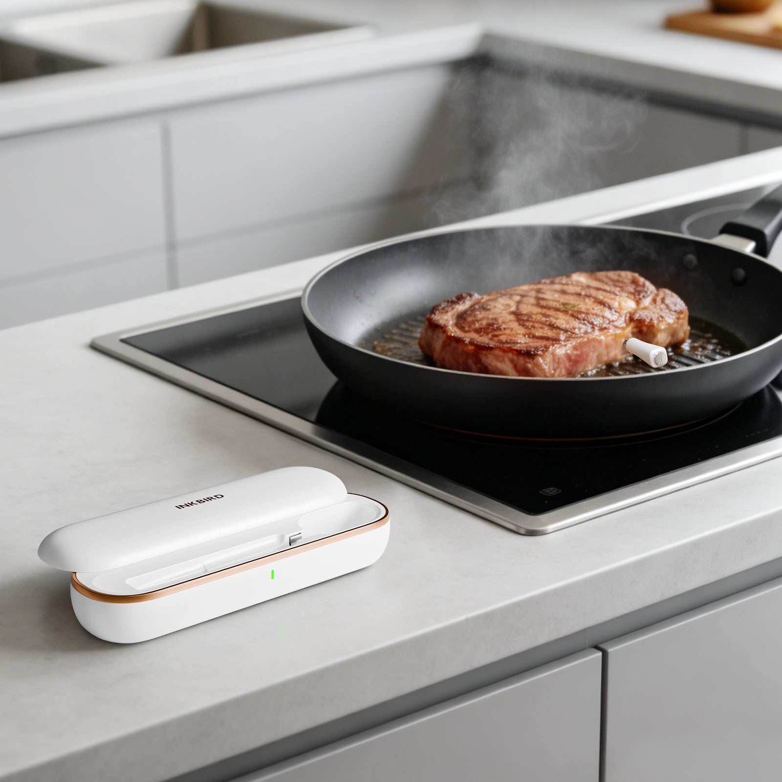 Monitoring Pan-Searing Steak with INT-11S-B