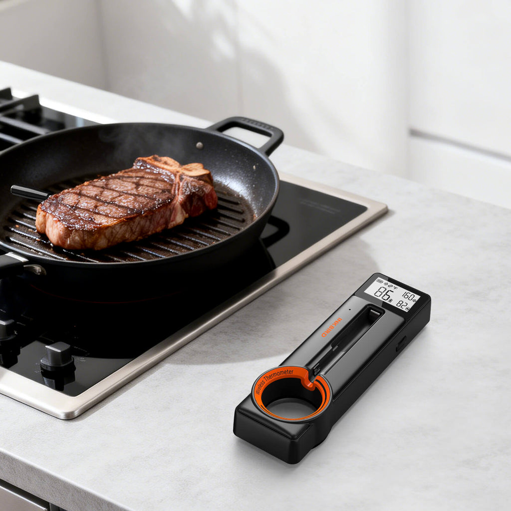Pan Searing Steak with INT-21-B