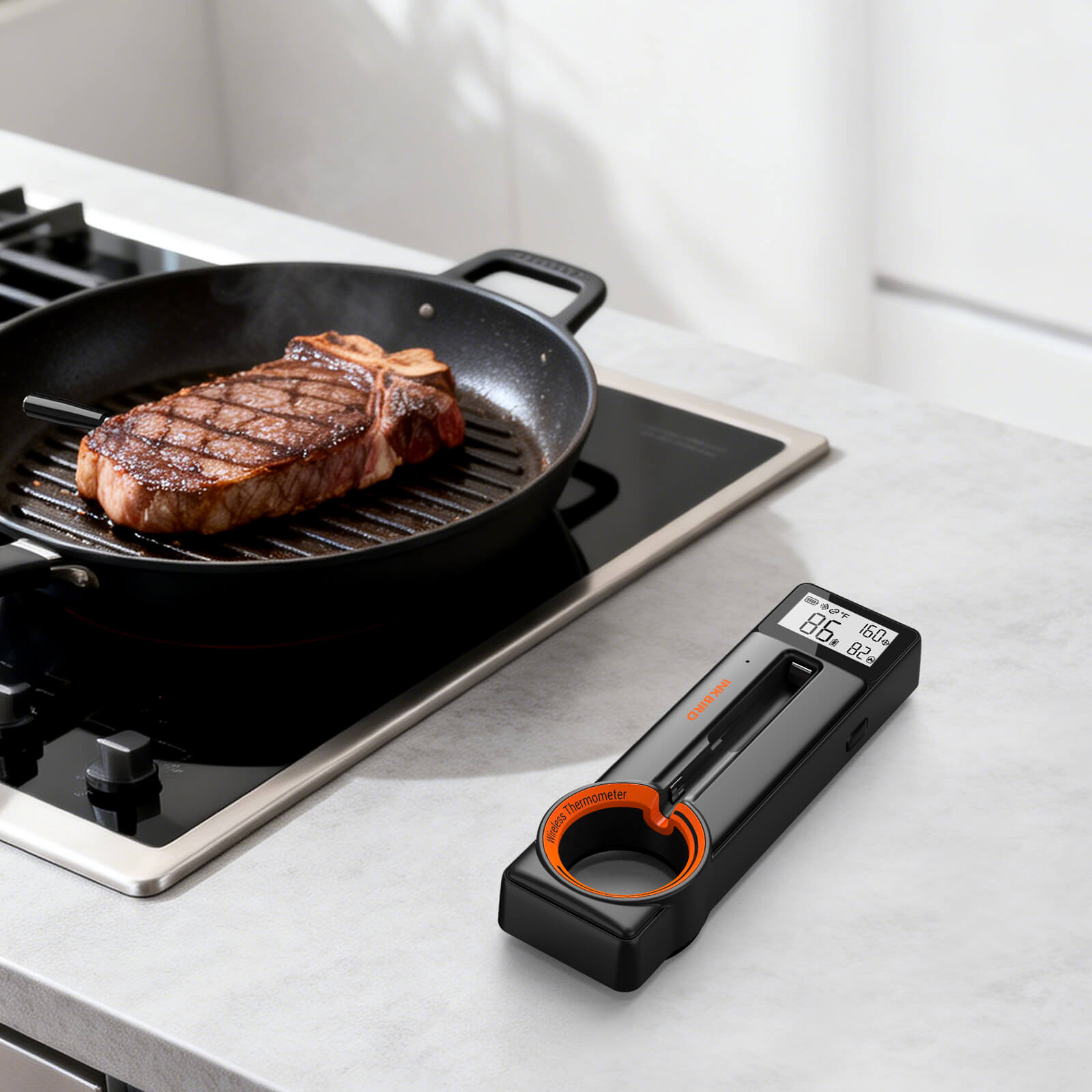 Pan Searing Steak with INT-21-B