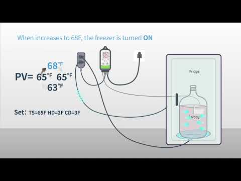 INKBIRD ITC-308 Guide Video