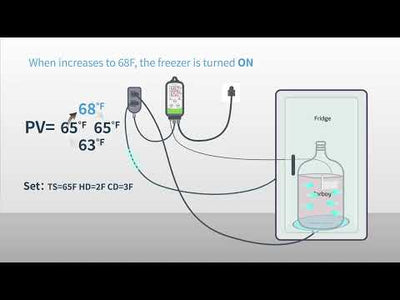 INKBIRD ITC-308 Guide Video